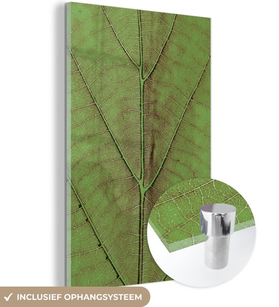 MuchoWow® Glasschilderij 20x30 cm - Schilderij acrylglas - Bladeren - Natuur - Planten - Foto op glas - Schilderijen