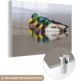 MuchoWow® Glasschilderij 120x80 cm - Schilderij acrylglas - Eend - Groen - Wild - Foto op glas - Schilderijen