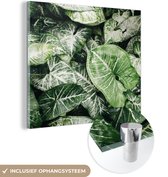 MuchoWow® Glasschilderij 90x90 cm - Schilderij acrylglas - Bladeren - Planten - Groen - Foto op glas - Schilderijen