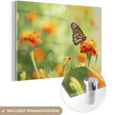 MuchoWow® Glasschilderij 30x20 cm - Schilderij acrylglas - Monarchvlinder op bloem - Foto op glas - Schilderijen