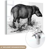 MuchoWow® Glasschilderij 120x80 cm - Schilderij acrylglas - Illustratie van een tapir in het zwart en wit - Foto op glas - Schilderijen