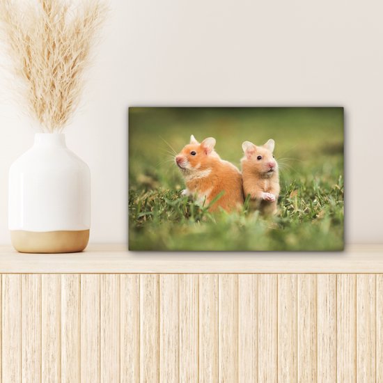 Tableau sur toile Hamsters dorés - 30x20 cm - Décoration murale