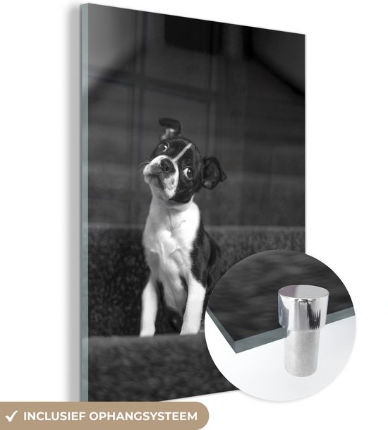 MuchoWow® Glasschilderij 90x120 cm - Schilderij acrylglas - Puppy op trap in zwart-wit - Foto op glas - Schilderijen