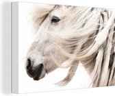 Portrait d'un cheval blanc à la longue crinière sur toile 2cm 180x120 cm - Tirage photo sur toile (Décoration murale salon / chambre) / Animaux de la ferme Peintures sur toile XXL / Groot format!