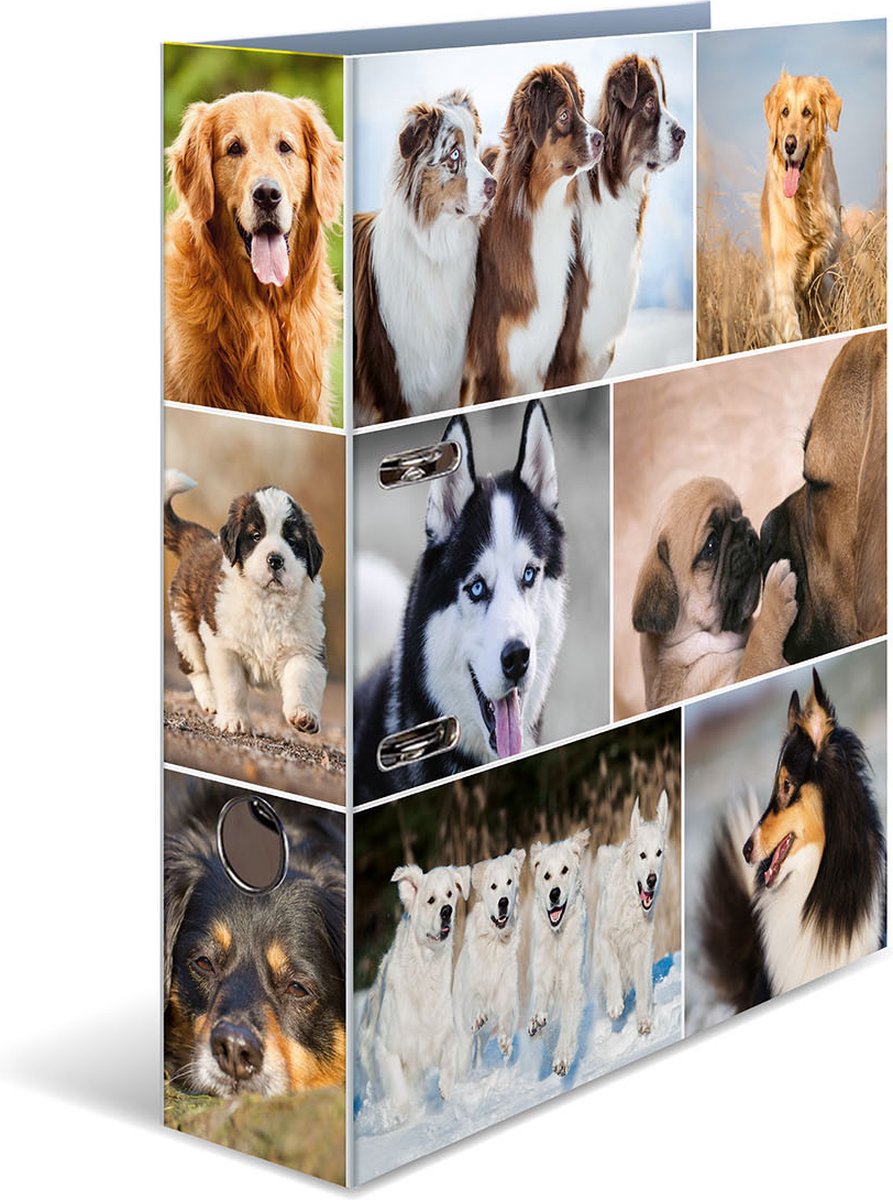 Ordner A4 Hunde
