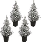 Paquet sapin de Noël - 4x Picea Glauca avec neige (Sapin de Noël) - 60cm