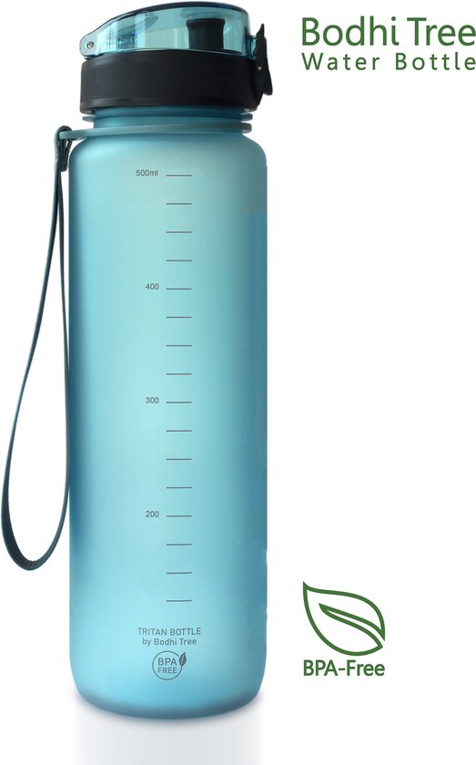Bodhi Tree Gourde 500 ml - Bouteille d'eau - Sans BPA - Filtre à fruits - Bouteille d'eau Sport de Plein air - Bouteille de sport - Bouteille Water 500 ml - Blauw - Bleu clair