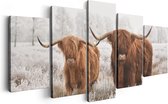 Artaza Canvas Schilderij Vijfluik Twee Schotse Hooglander Koeien In De Wei - 200x100 - Groot - Foto Op Canvas - Canvas Print