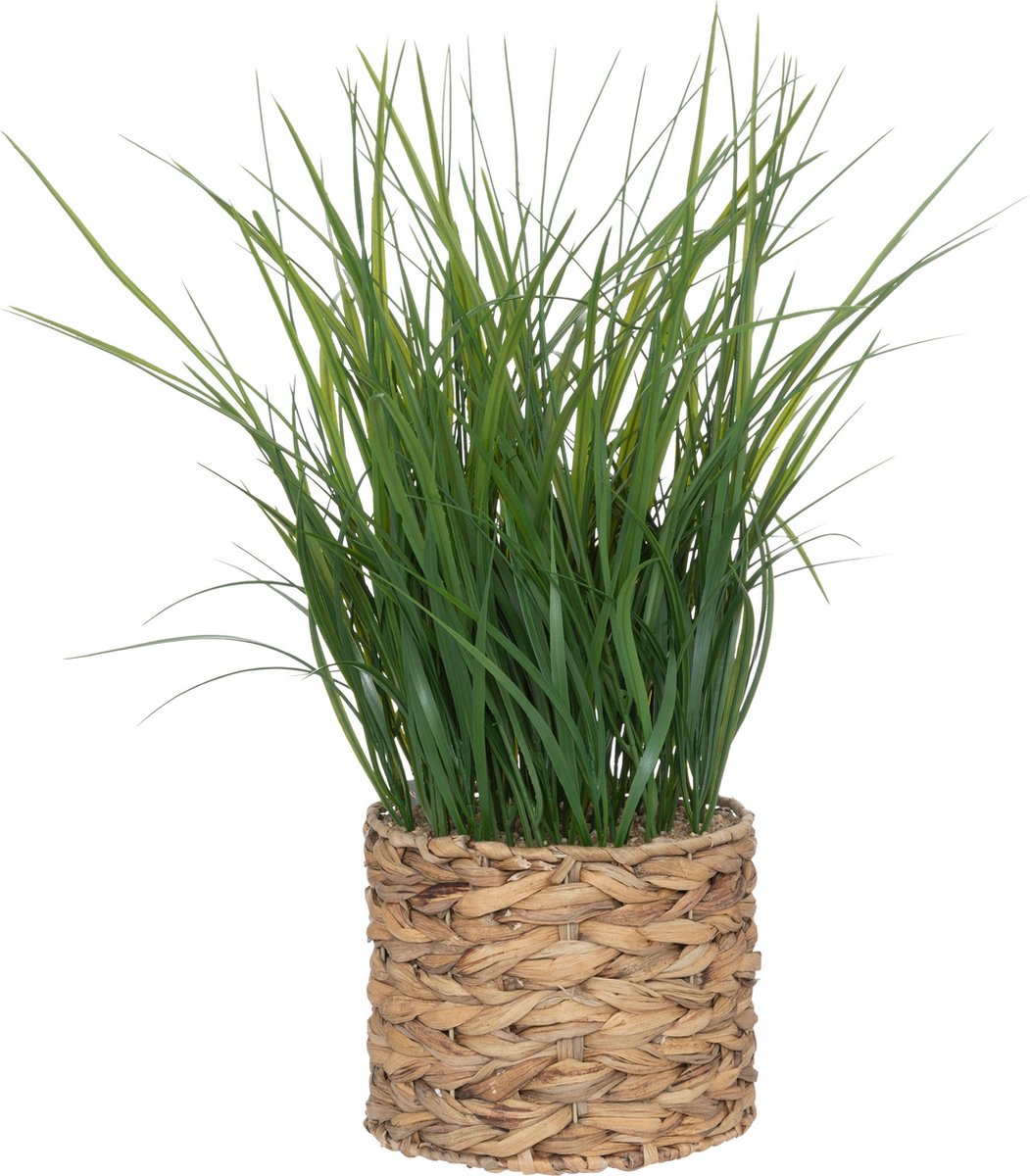 Atmosphera Kunstplant - Graspot - H70cm - Hyacint Beige