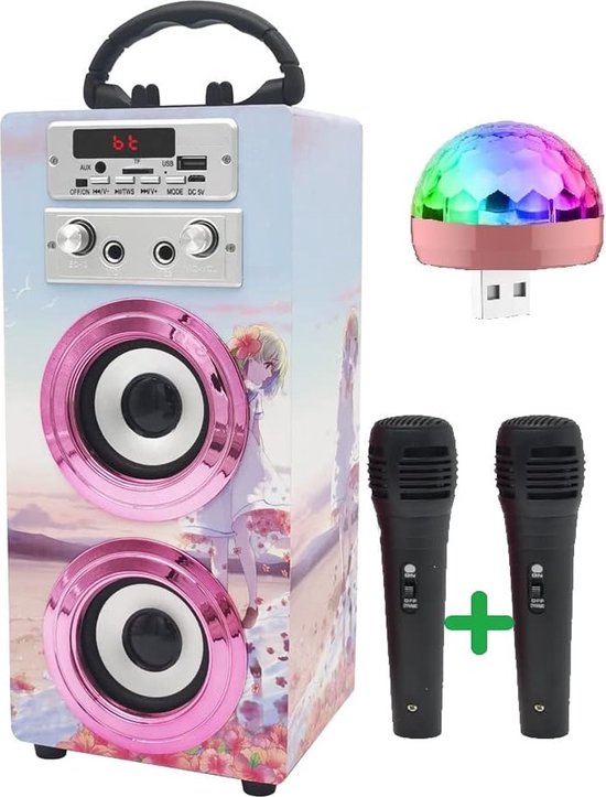 Karaoke Set Voor Volwassenen Karaoke Set Met 2 Microfoons bol