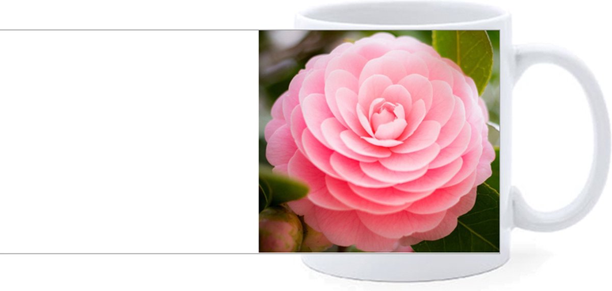 Beker - Japanse Roos - Roze - Camellia Japonica