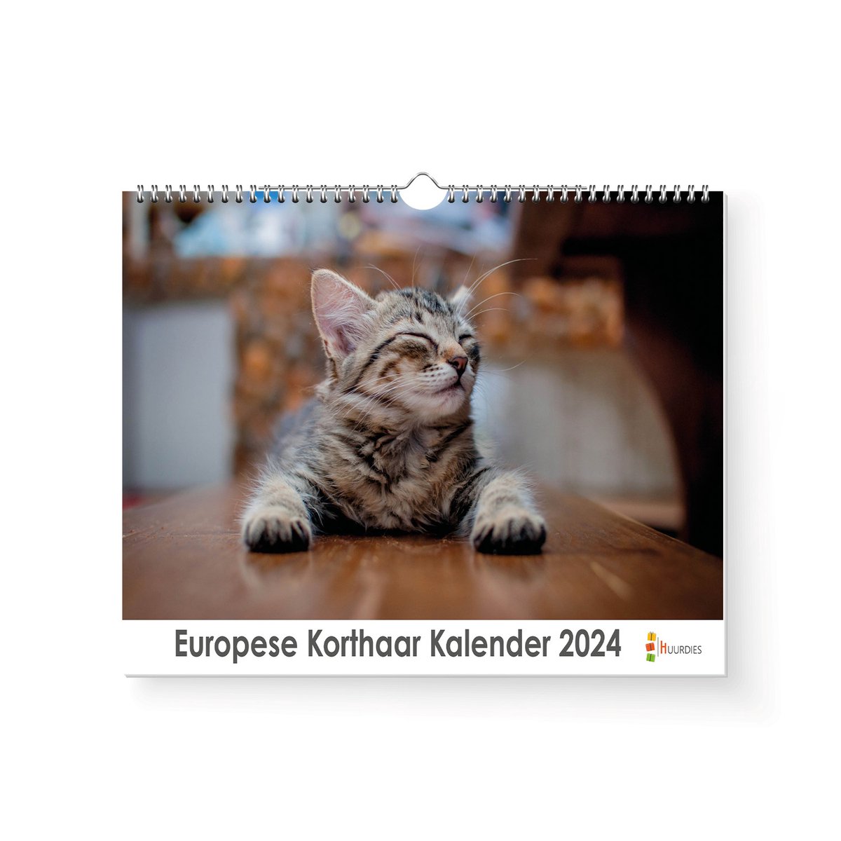 XL 2024 Kalender - Jaarkalender - Europese Korthaar