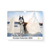 XL 2024 Kalender - Jaarkalender - Husky