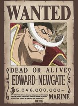 Poster One Piece Wanted Whitebeard 38x52cm