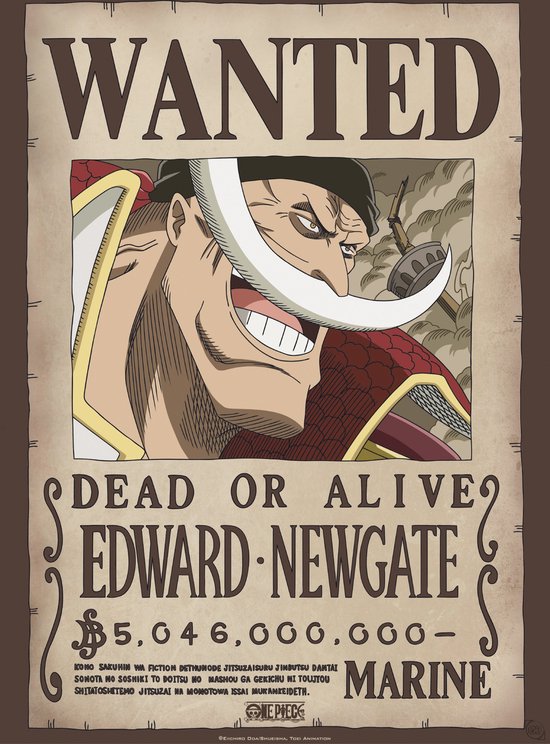 One piece deals wanted poster hd