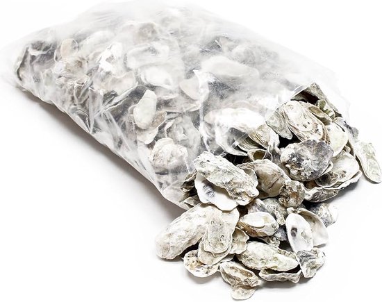 Oesterschelpen in zak online bestellen? Vijver webshop