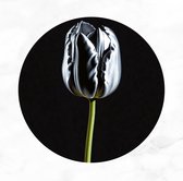 De Muurdecoratie - Tulp schilderij zilver 40x40 cm - Muurcirkel bloemen - Rond schilderij - Wandschalen - Wanddecoratie slaapkamer - Muurdecoratie industrieel - Schilderij bloemen