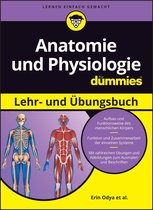 Für Dummies - Anatomie und Physiologie Lehr- und Übungsbuch für Dummies