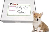 Nobleza Paquet pour chiot - Paquet cadeau pour chiot - Boîte pour chiot - Jouets pour chiot - Paquet pour chien - Paquet de jouets pour chien - Boîte à mouchoirs