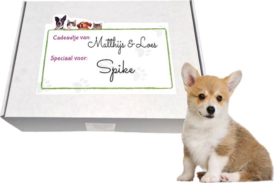 Nobleza Puppy cadeaupakket - hondenspeelgoed - puppy pakket hond speelgoed - puppybox - puppy cadeaubox - honden cadeaupakket - cadeaubox honden - hondenpakket - honden box - honden cadeau - verjaardag hond - honden cadeau - puppy pakket - snuffelbox