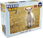 Puzzel Schaap - Gras - Zon - Legpuzzel - Puzzel 1000 stukjes volwassenen
