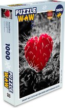 Puzzel Zwart-wit foto met een rode hartvormige cactus - Legpuzzel - Puzzel 1000 stukjes volwassenen
