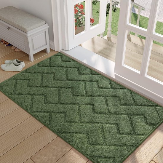 Paillasson pour intérieur et extérieur, 80 x 120 cm, lavable, entrée, intérieur, tapis anti-saleté, antidérapant, paillasson pour entrée, terrasse, couloir, jardin, intérieur et extérieur – Vert