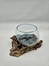 Decoratief Beeld - Glazen Kom Op Stronk - Glas En Hout