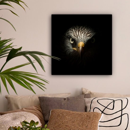 Tableau sur toile Vogel - Aigle - Rapaces - Oeil - Bec - Lumière - 50x50 cm - Décoration murale