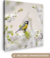 Canvas - Schilderij - Vogel - Koolmees - Bloemen - Bloesemboom - Wit - Schilderijen op canvas - Foto op canvas - 20x20 cm - Muurdecoratie - Woonkamer