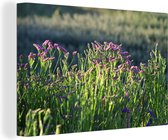 Fleurs de limonium dans un paysage vert Toile 140x90 cm - Tirage photo sur toile (Décoration murale salon / chambre)