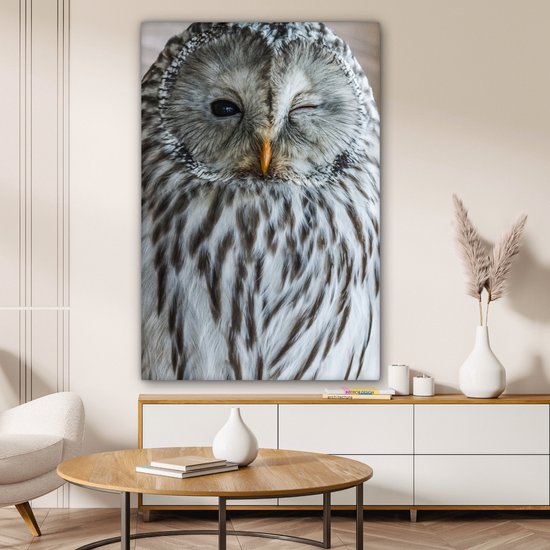 Peintures sur toile Hibou - Ressorts - Portrait - 90x140 cm - Décoration murale