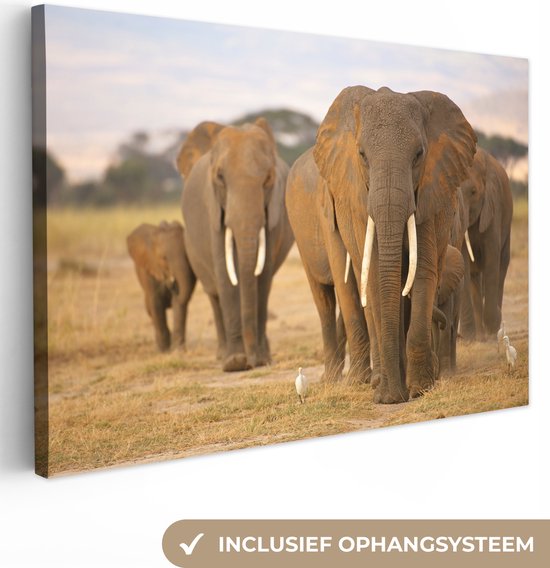 Toile de famille éléphants 60x40 cm - Tirage photo sur toile (Décoration murale salon / chambre) / Peintures sur toile Animaux