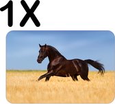 BWK Luxe Placemat - Gallopperend Paard in het Gras - Set van 1 Placemats - 45x30 cm - 2 mm dik Vinyl - Anti Slip - Afneembaar