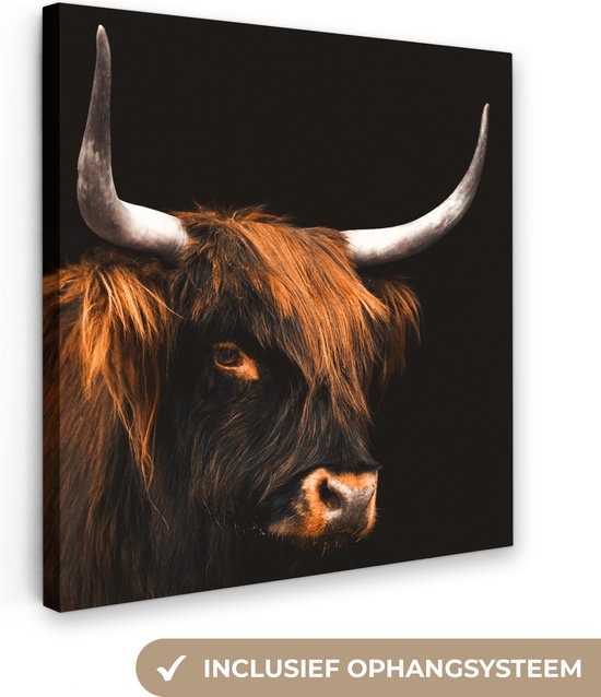 Schotse hooglander - Koe - Zwart - Canvas - 20x20 cm - Wanddecoratie