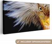 Canvas Schilderij Vogel - Oog - Snavel - 80x40 cm - Wanddecoratie