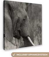 Tableau Toile Éléphant - Animaux - Zwart - Wit - 20x20 cm - Décoration murale