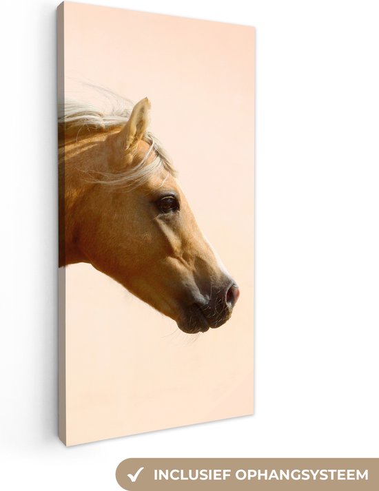 Canvas Schilderij Paard - Licht - Lucht - 40x80 cm - Wanddecoratie