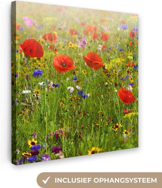 Canvas Schilderij Lente - Bloemen - Rood - Klaproos - Gras - Groen - 50x50 cm - Wanddecoratie