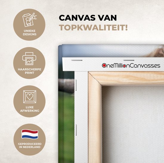 Toile Highlander écossais poilue 2cm