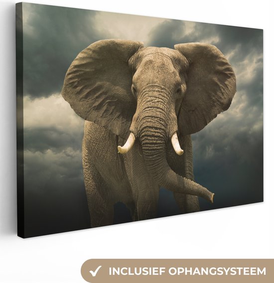 Canvas Schilderij Afrikaanse olifant tegen de donkere wolken - 60x40 cm - Wanddecoratie