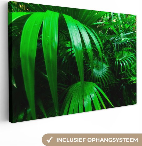 Canvas Schilderij Palmbladen in de jungle - 60x40 cm - Wanddecoratie