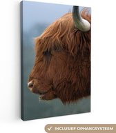 Gros plan sur toile écossais highlander 2cm 80x120 cm - Tirage photo sur toile (Décoration murale salon / chambre) / Animaux sauvages Peintures sur toile