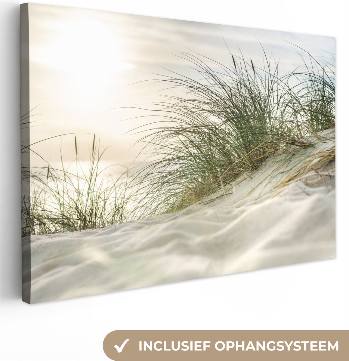 Cadre photo avec affiche - Sable - Plantes - Allemagne - 120x80 cm