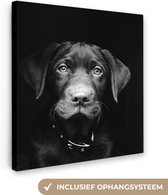 Canvas Schilderij Hond - Licht - Zwart - 90x90 cm - Wanddecoratie