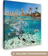 Canvas Schilderij Zee - Vissen - Egypte - 20x20 cm - Wanddecoratie