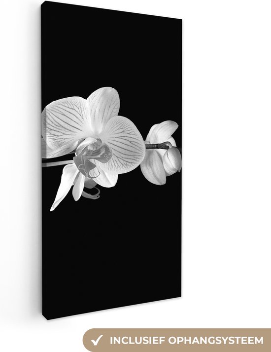 Tableau Toile Orchidée - Fleurs - Zwart - Rose - Bourgeons - 40x80 cm - Décoration murale