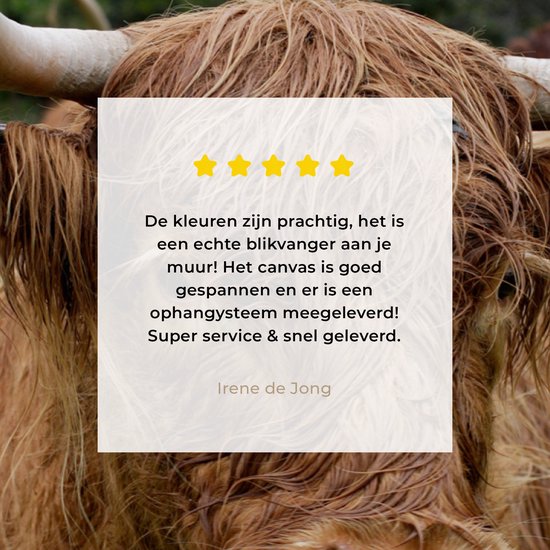 Tableau sur toile Highlander écossais - Animaux - Herbe - 160x120 cm - Décoration murale XXL
