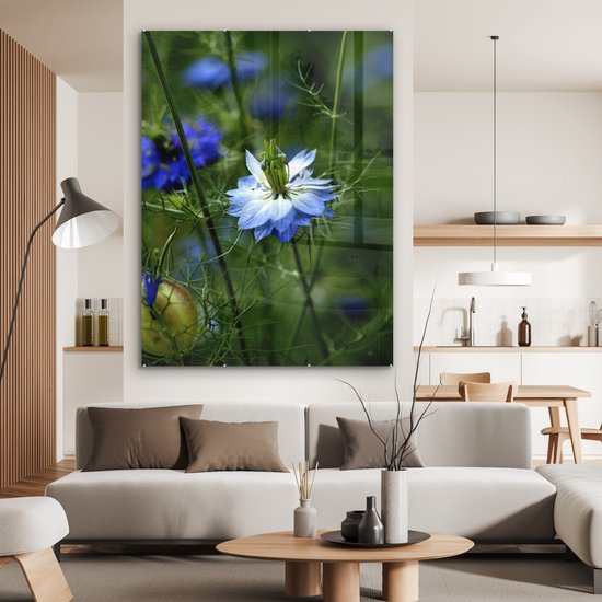 MuchoWow® Peinture sur verre 120x160 cm - Peinture sur verre acrylique - Une fleur de nigelle parmi les plantes - Photo sur verre - Peintures
