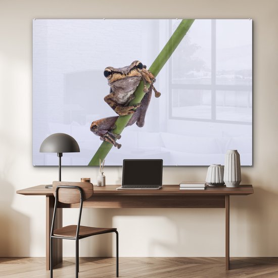 MuchoWow® Peinture sur verre 180x120 cm - Peinture sur verre acrylique - Grenouille - Branche - Grijs - Photo sur verre - Peintures